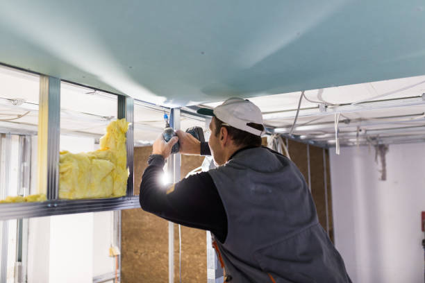 Best Types of Insulation in El Jon, CA