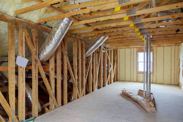 Best Insulation Maintenance and Repair in El Jon, CA