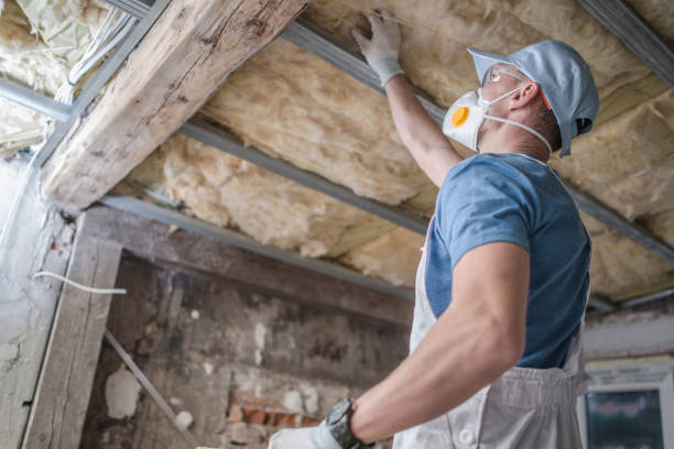 Best Insulation Maintenance and Repair in El Jon, CA