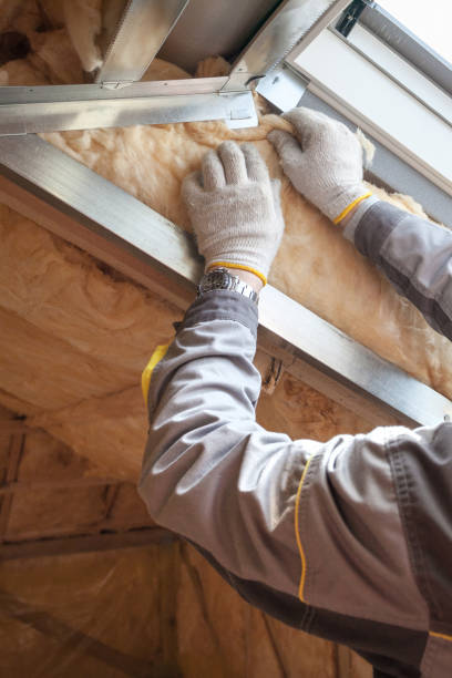 Best Insulation Installation Services in El Jon, CA