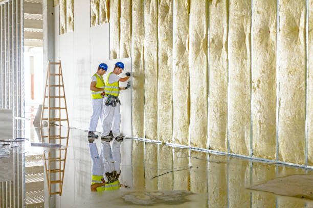 Best Commercial Insulation in El Jon, CA